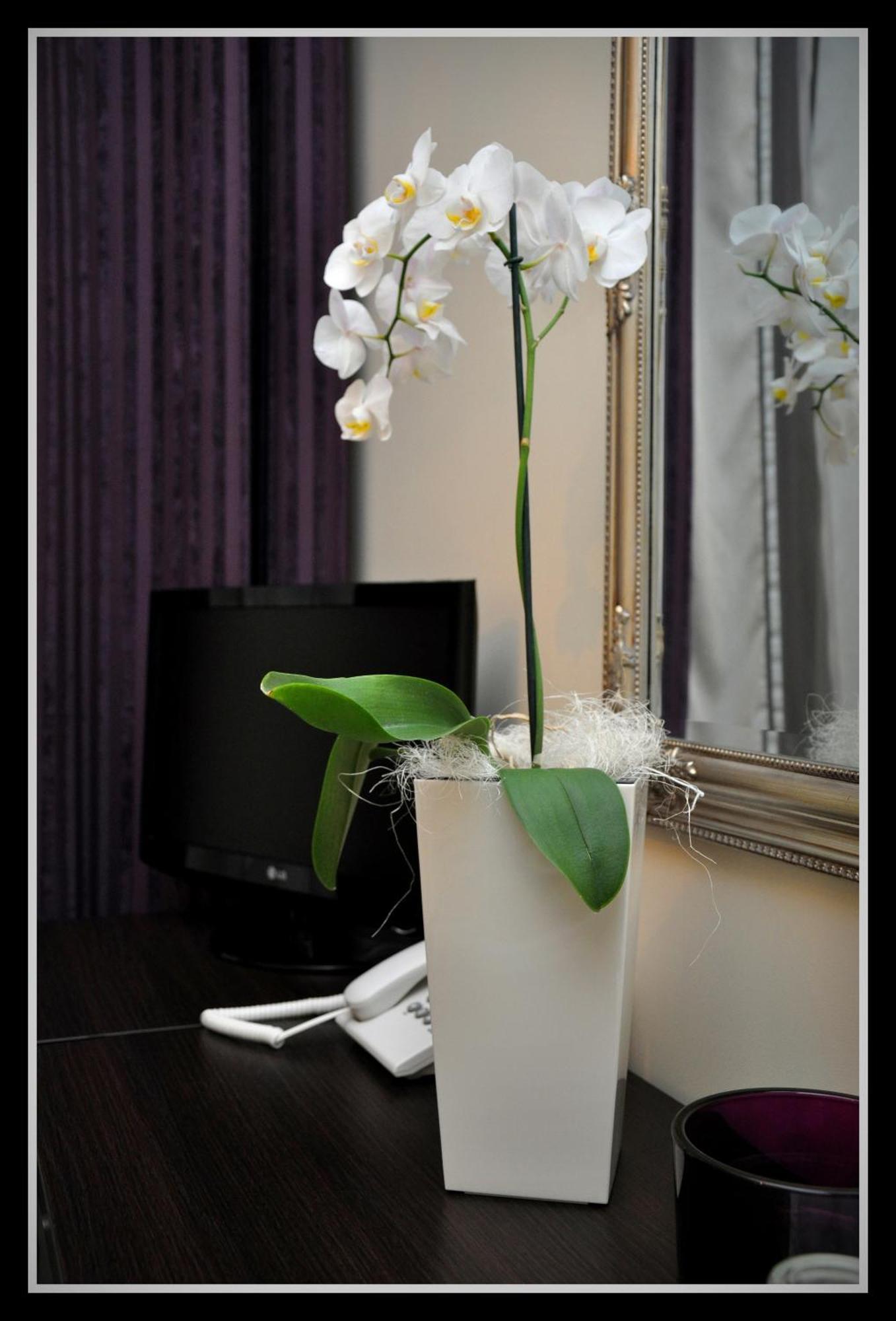 Hotel Adriana